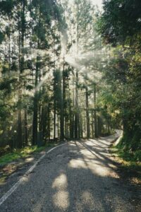 Foto di Susann Schuster su Unsplash
