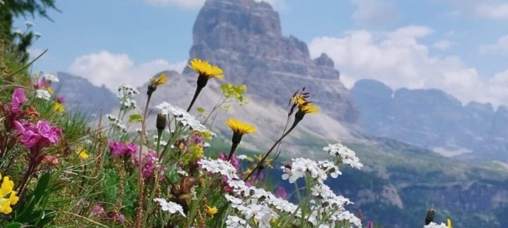 natura-trentino-MN